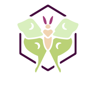 Logo design for Hex Moth (2026)